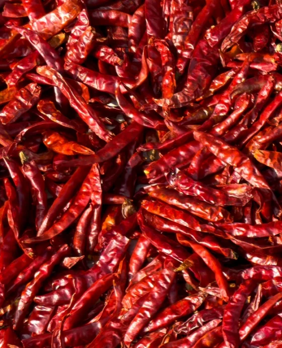 Dried Chillies 