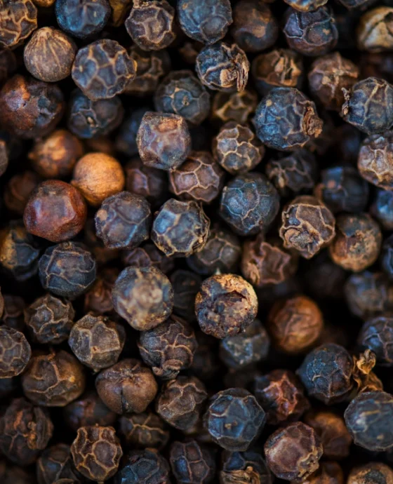 Bold Grade Export Pepper (550–630 GL)